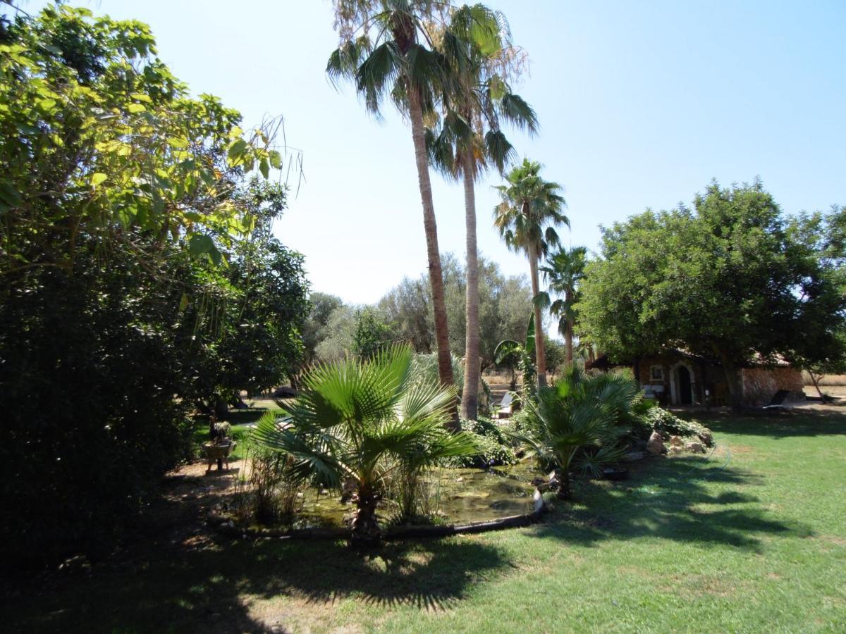 Villa Ca Na Marlis. Nature&Relax à Inca  Extérieur photo